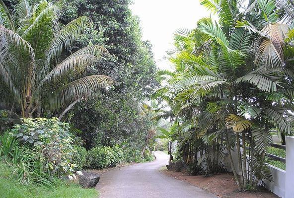 Kokogrove Chalets Anse Royale Exterior foto